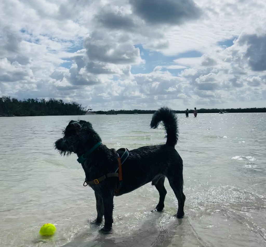 Don’t ask me my&nbsp;sign.