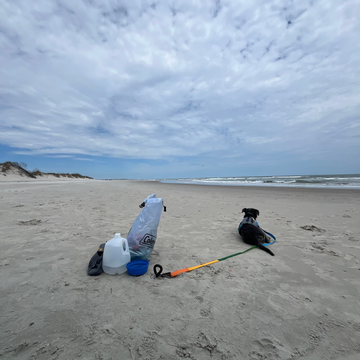 Diversify The Portfolio