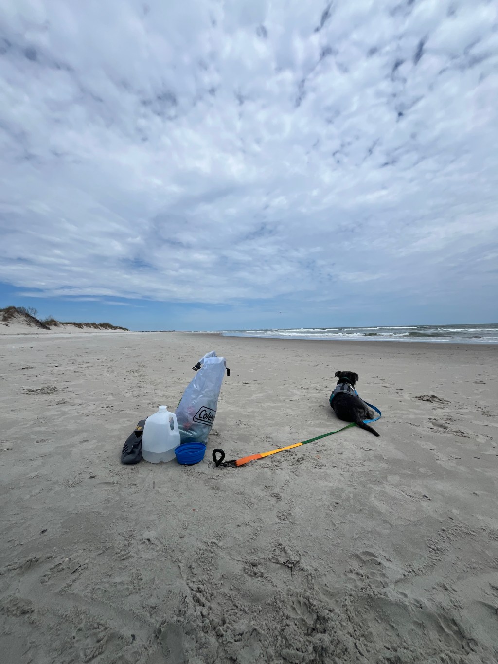 Diversify The Portfolio